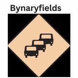 bynaryfields.com
